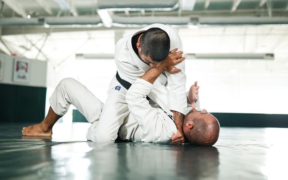 Der Master Cycle bietet einen strukturierten Weg vom Blau- zum Schwarzgurt